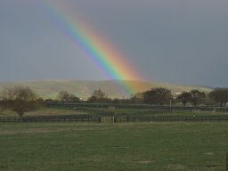 California2007-2008-007